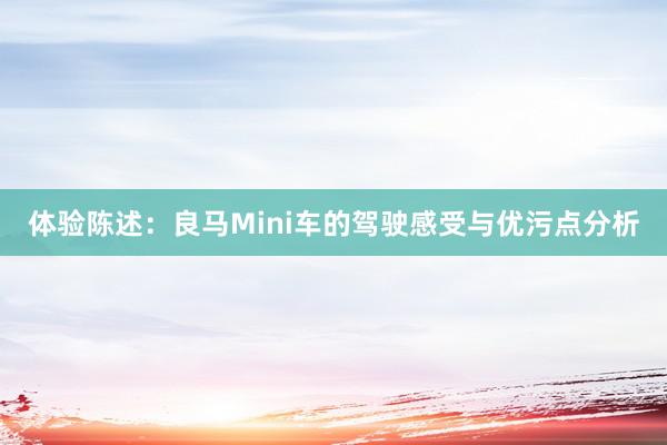 体验陈述：良马Mini车的驾驶感受与优污点分析