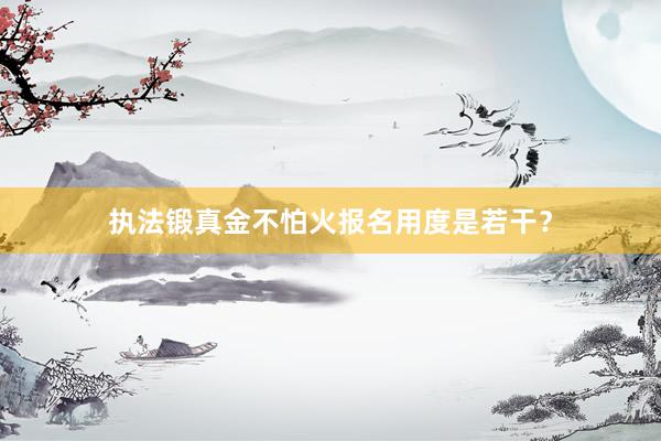 执法锻真金不怕火报名用度是若干？