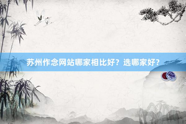苏州作念网站哪家相比好？选哪家好？